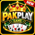 pakplay game